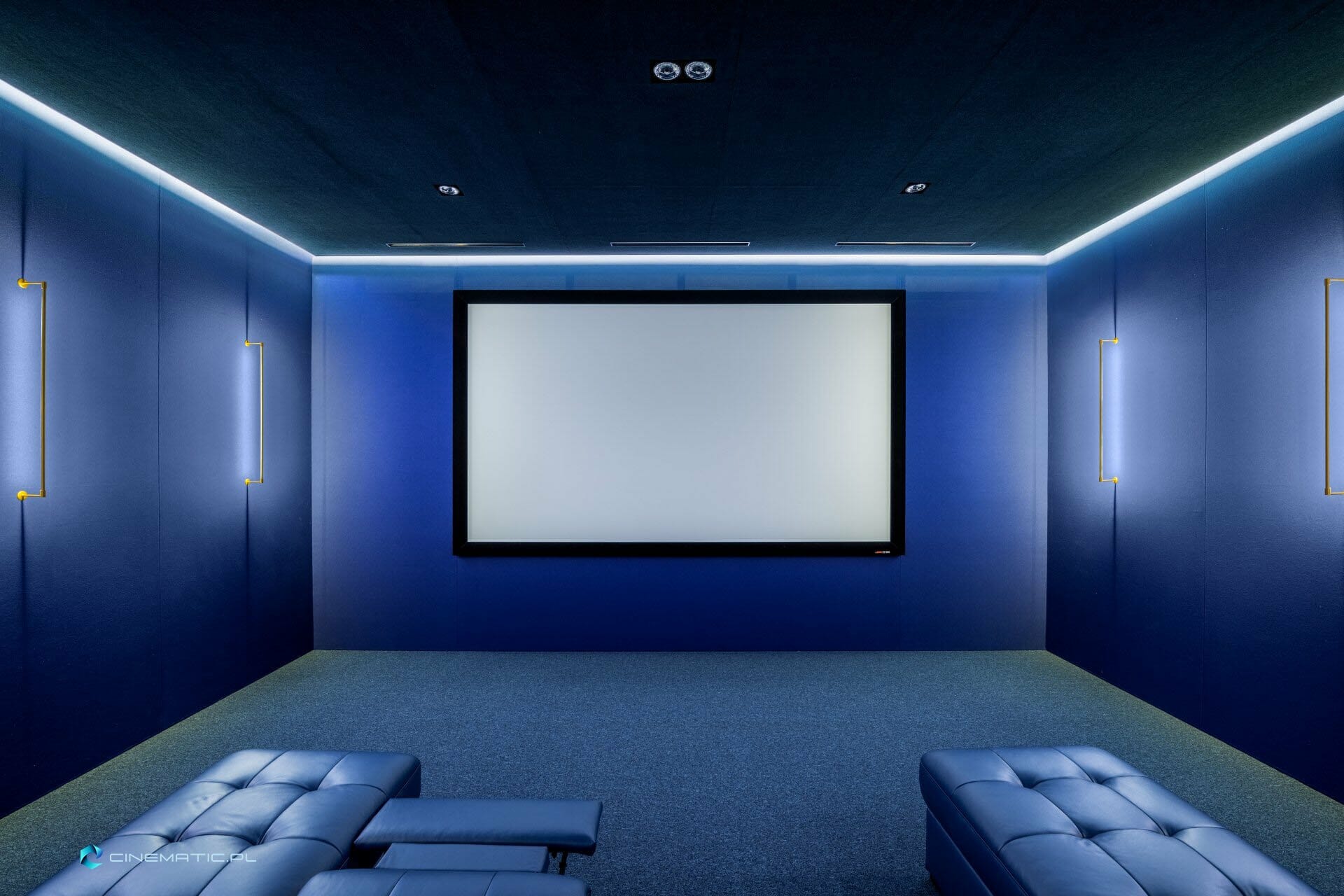 ekran do sali kinowej