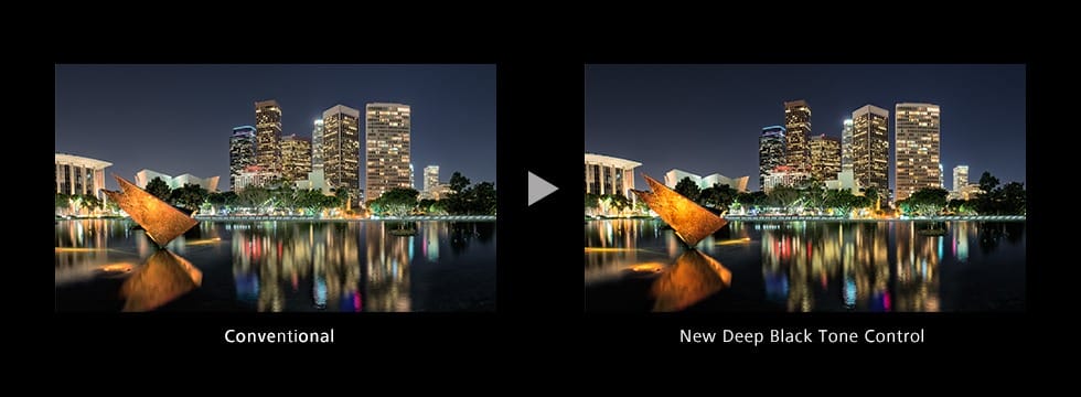 wysoki kontrast głęboka czeń